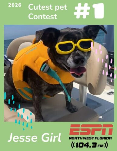 2026 Cutest Pet Contest
