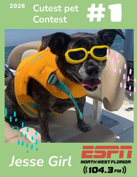 2026 Cutest Pet Contest
